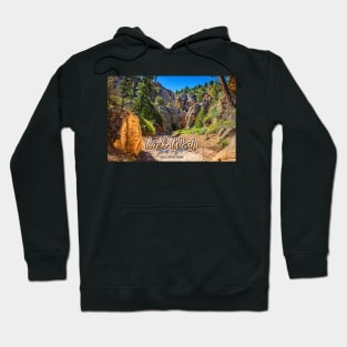 Lick Wash Trail Hike Hoodie